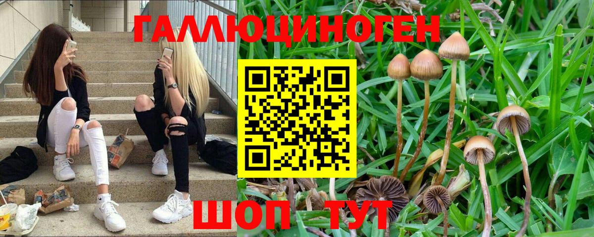 Псилоцибиновые грибы прущие грибы Альметьевск
